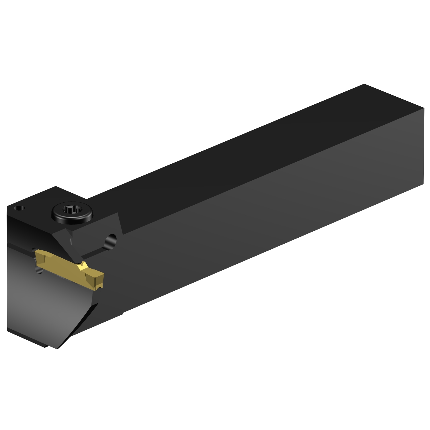 CoroCut® 1-2, oprawka z chwytem tradycyjnym do rowków czołowych RG123H13-2525B-064BM
