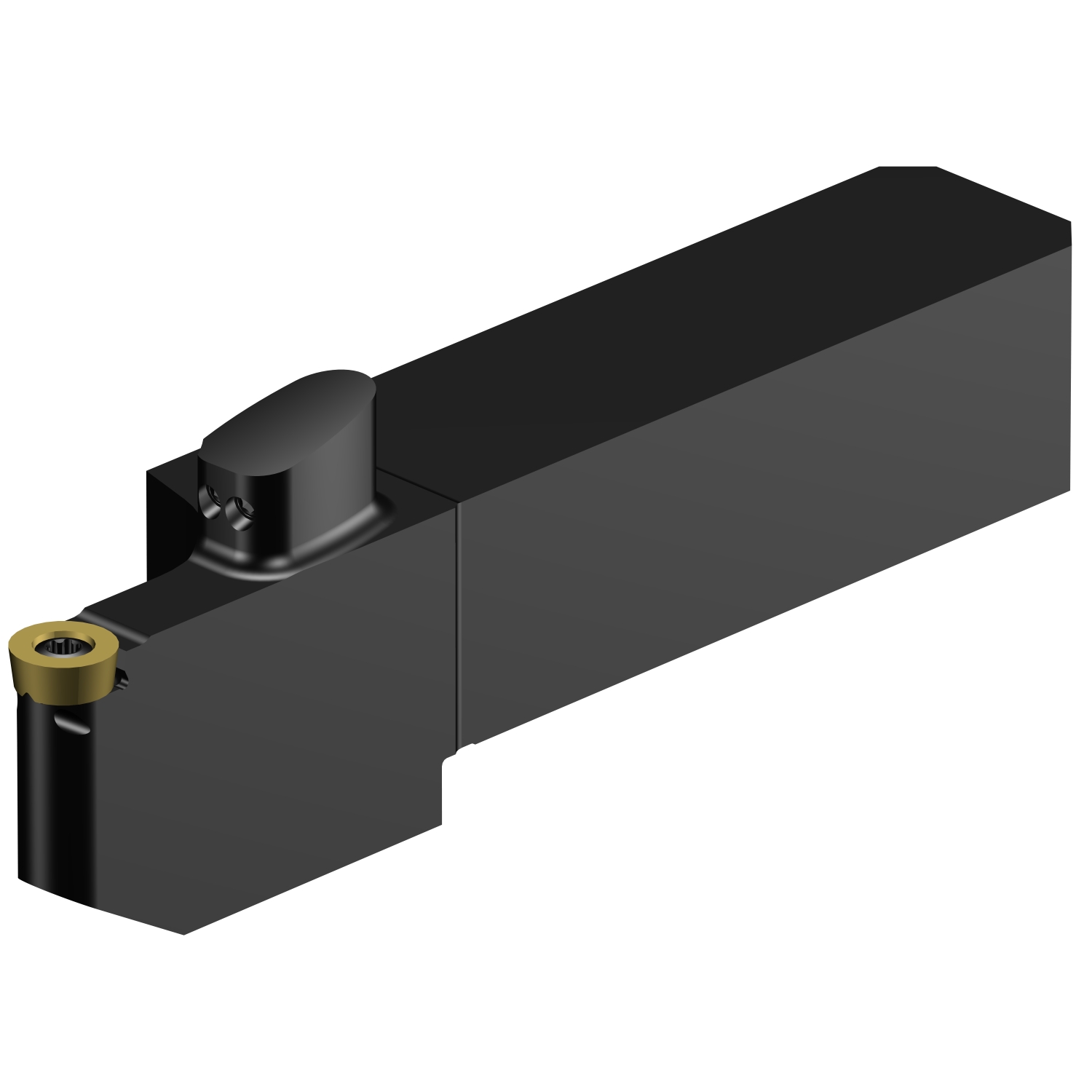 CoroThread® 107, oprawka systemu QS do toczenia QS-SRDCR-202020-08XC