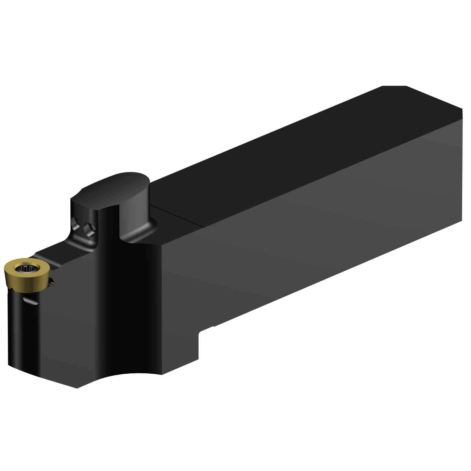 CoroThread® 107, oprawka systemu QS do toczenia QS-SRDCN-202020-08XC