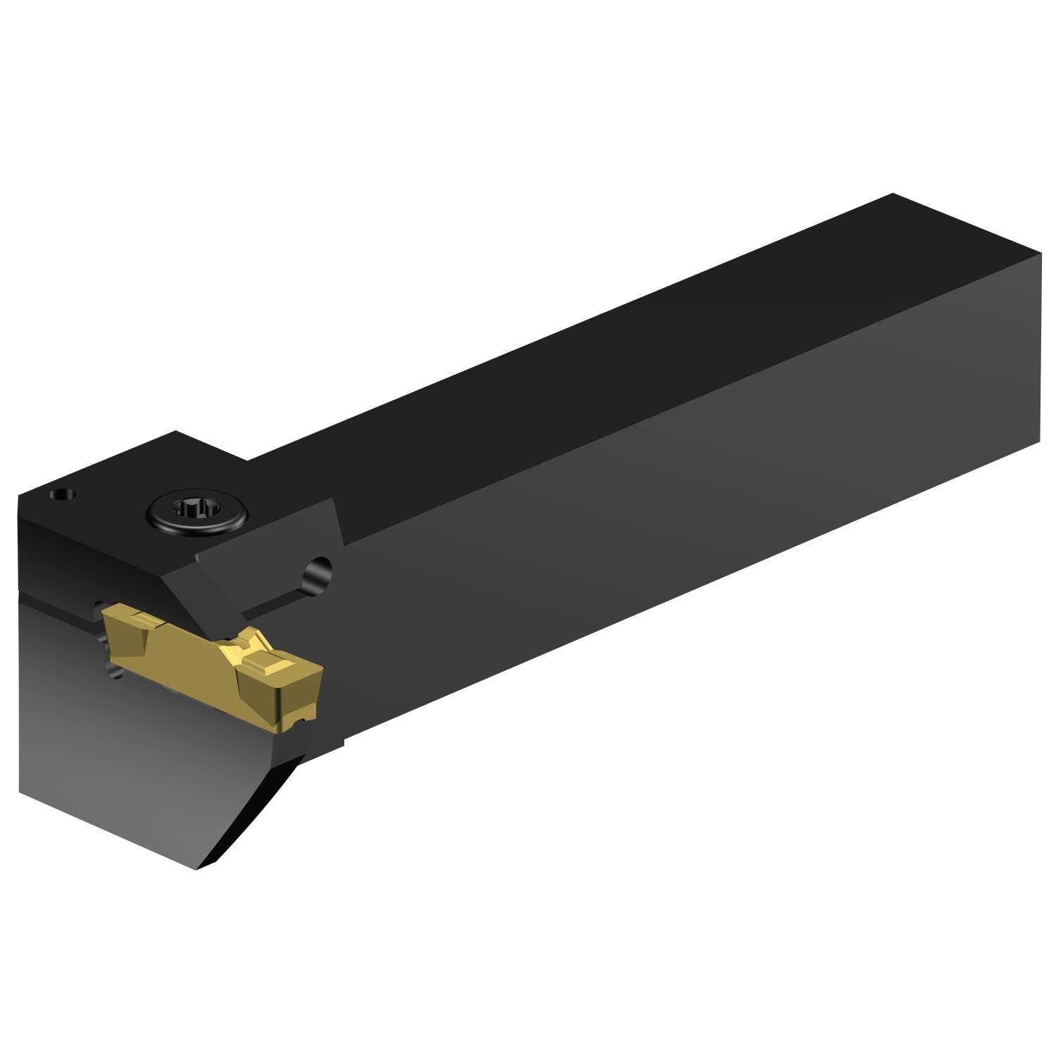 CoroCut® 1-2, oprawka z chwytem tradycyjnym do rowków czołowych RG123L079-16B-075BM