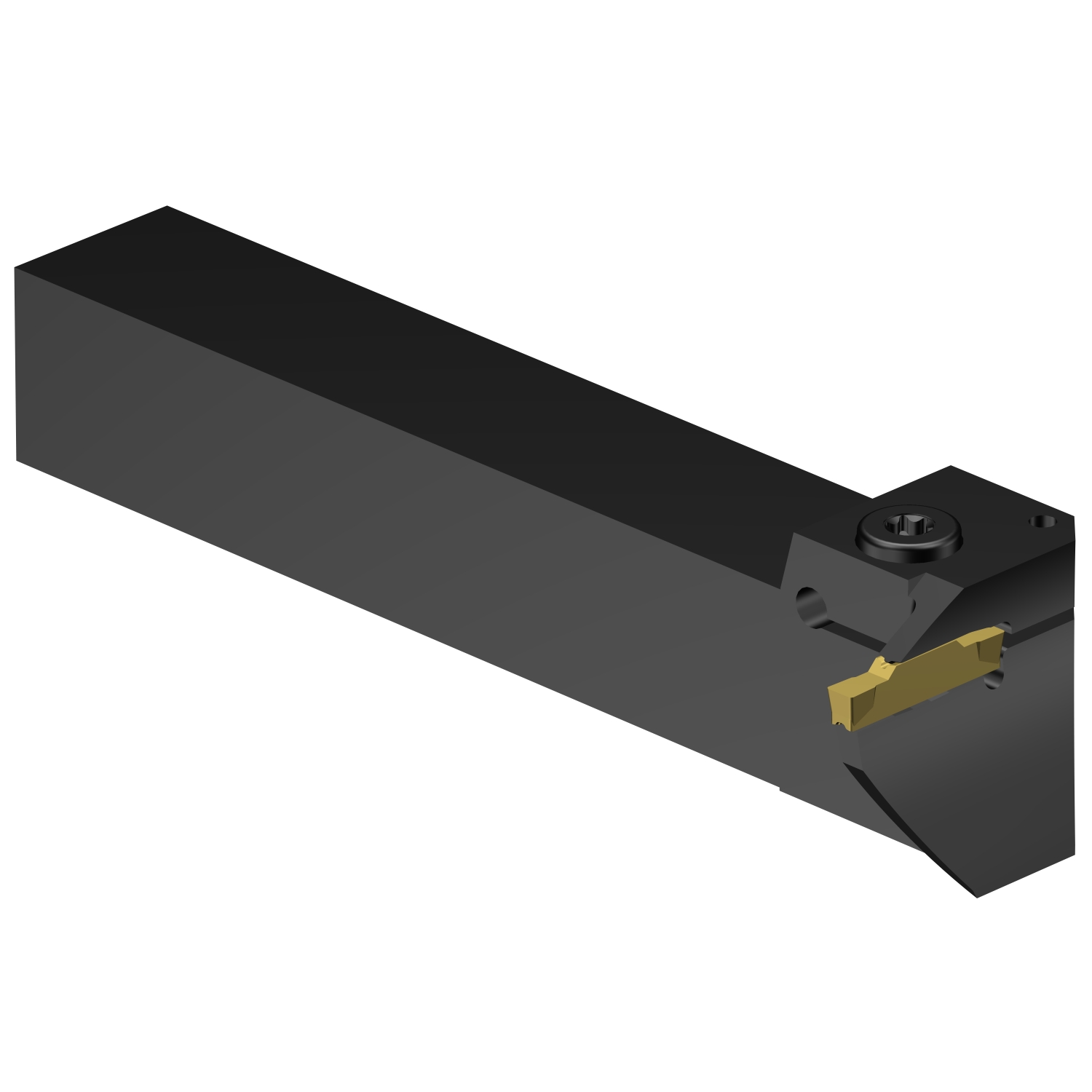 CoroCut® 1-2, oprawka z chwytem tradycyjnym do rowków czołowych LG123H13-2525B-052BM