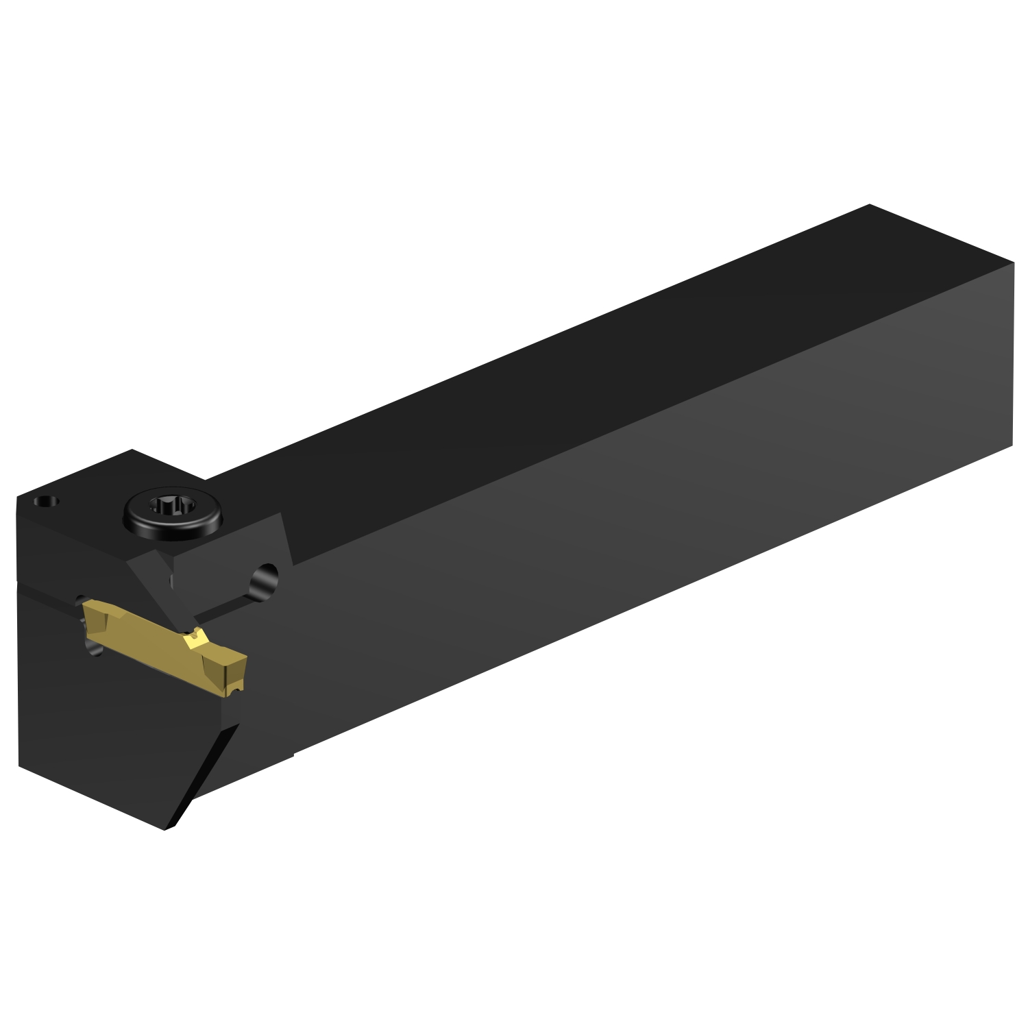 CoroCut® 1-2, oprawka z chwytem tradycyjnym do rowków czołowych RG123H050-16B-300BM
